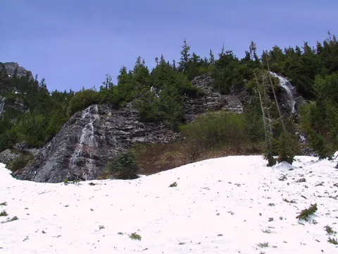Looking up avalanche chute