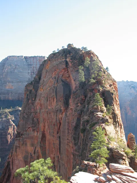 Looking back up towards Angel's landing.