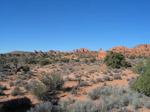 Looking towards the north.