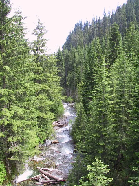 Stream near Alpental