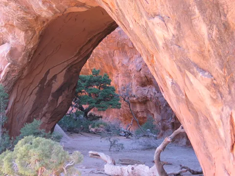 Navajo Arch