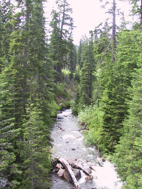 Stream near Alpental