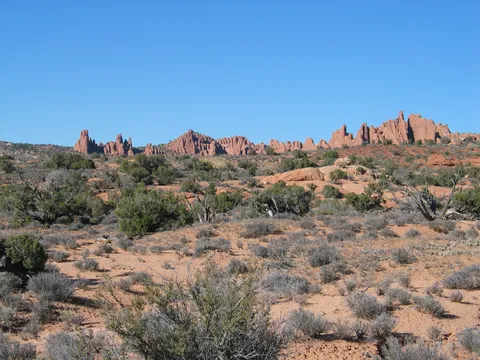 Looking towards the north.
