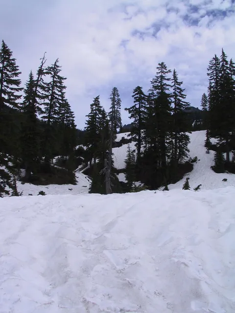 Looking up from down near Snowlake itself