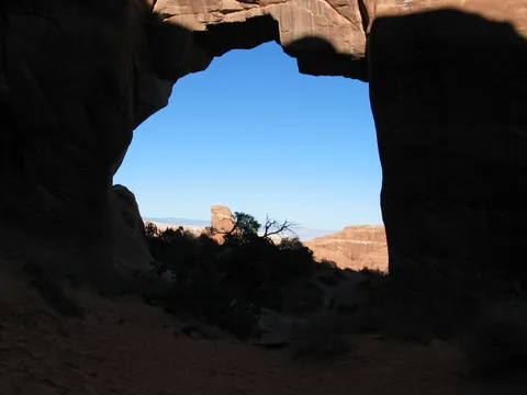Pine Tree Arch