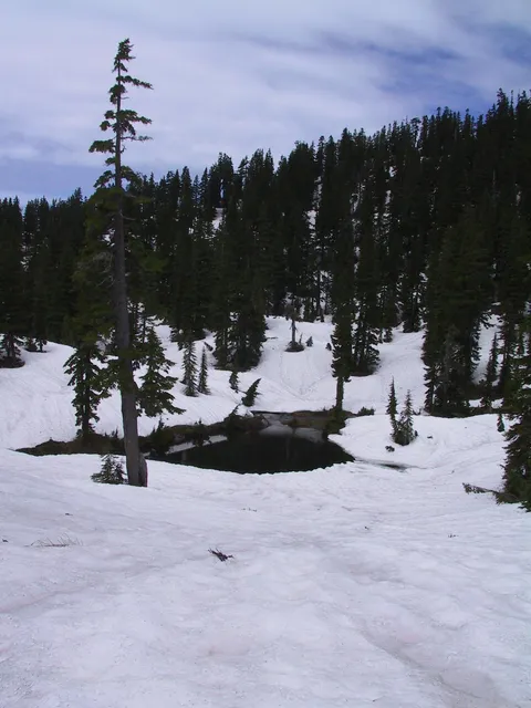 Inlet to Snow lake