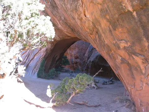 Navajo Arch