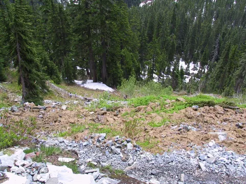 Looking down switchbacks